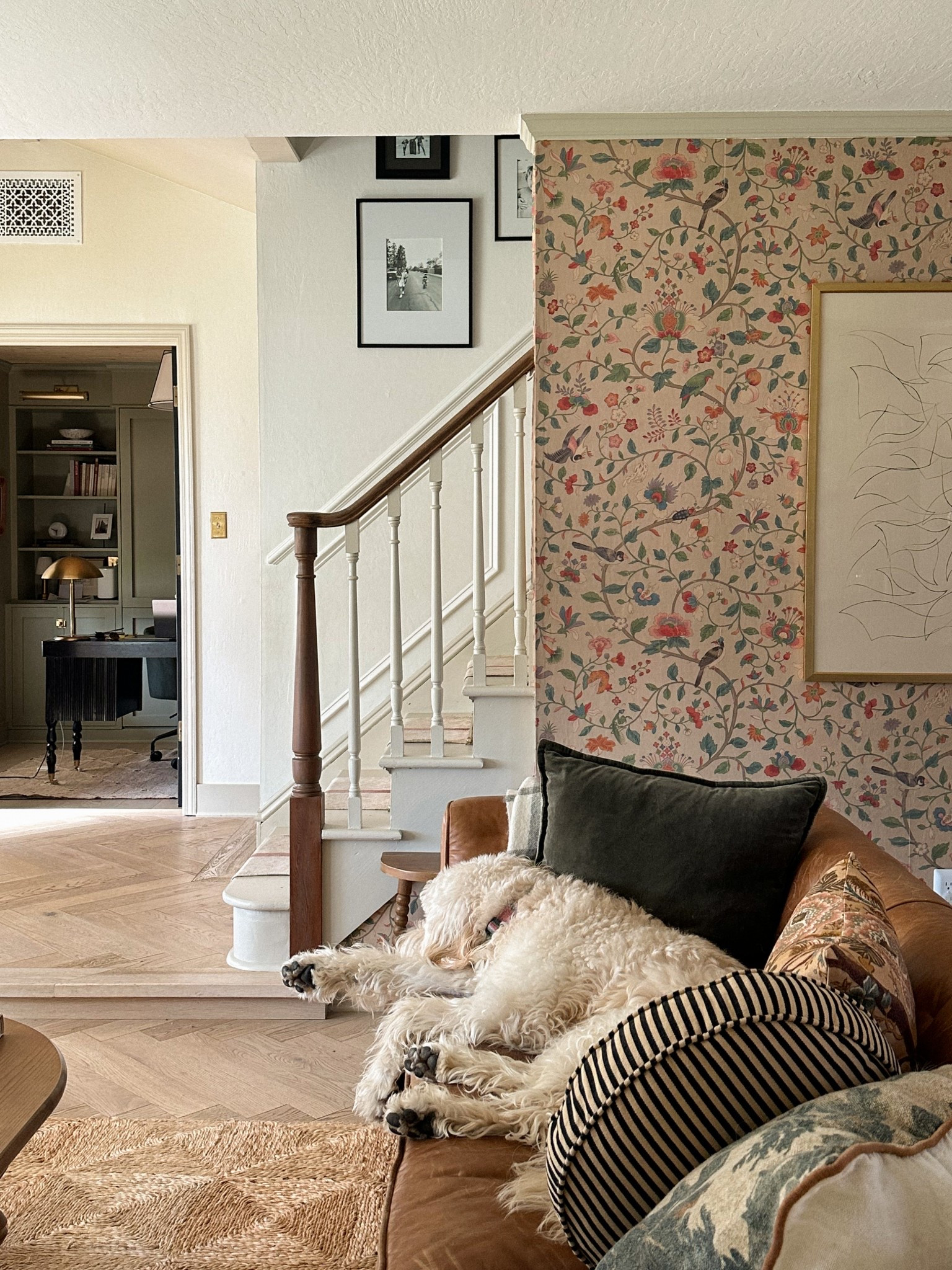 Pisco’s favorite spot 

#LTKFamily #LTKHome #LTKFindsUnder100