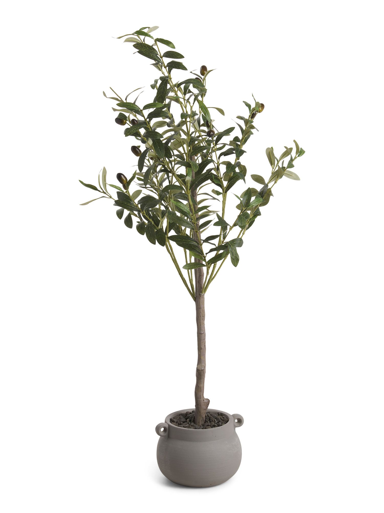 3ft Olive Tree In Stone Handle Pot | Home Essentials | Marshalls | Marshalls