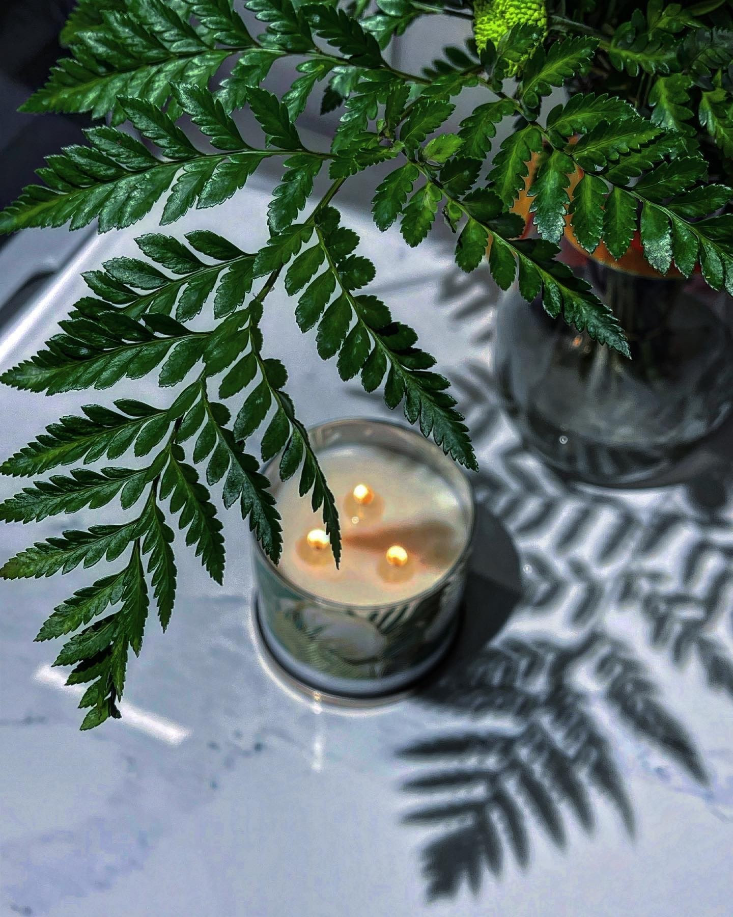 Some of my favourite candle scents right now ! 🌴 🥥🕯

#LTKhome #LTKgiftguide #LTKcanada