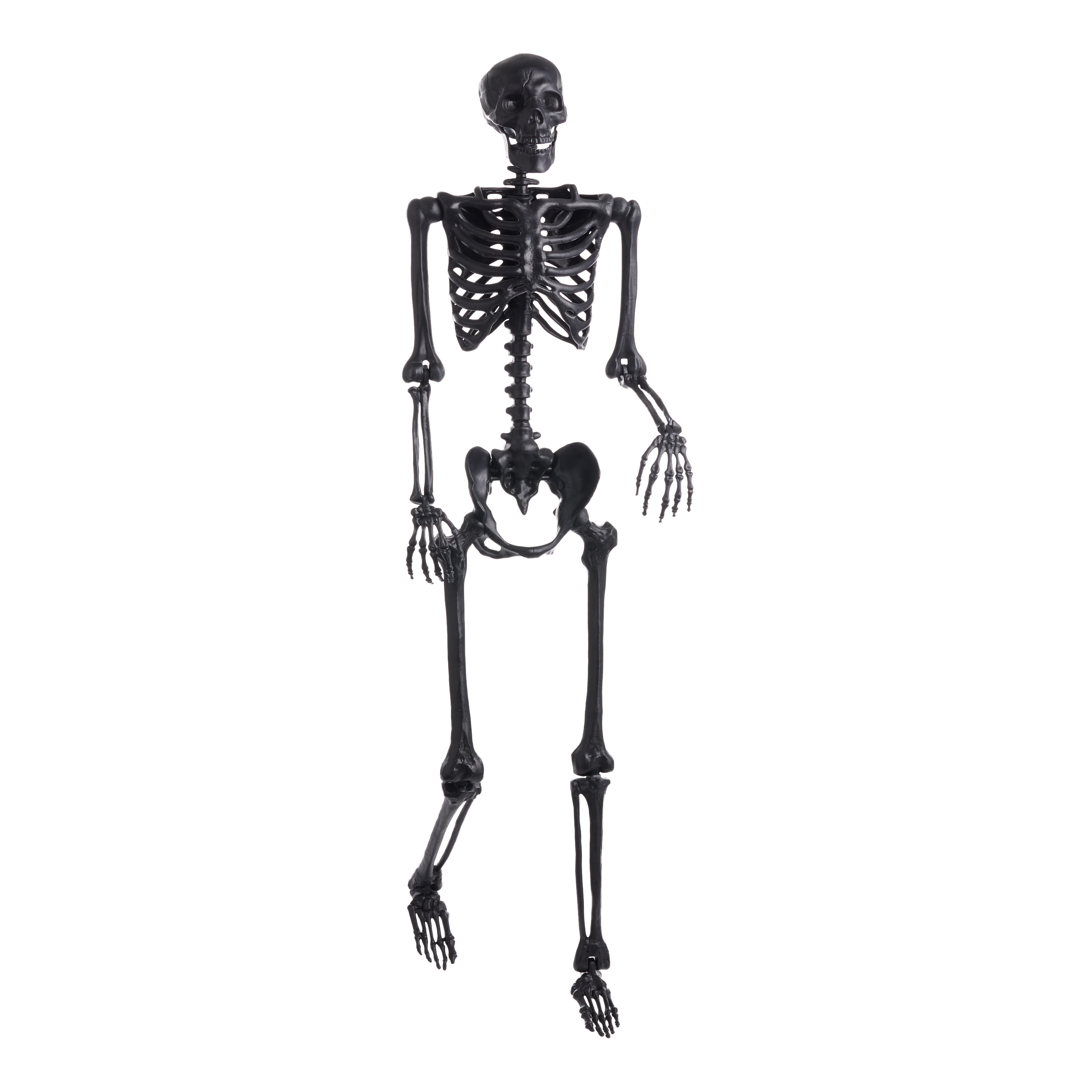 Human Skeleton Halloween Decor | World Market