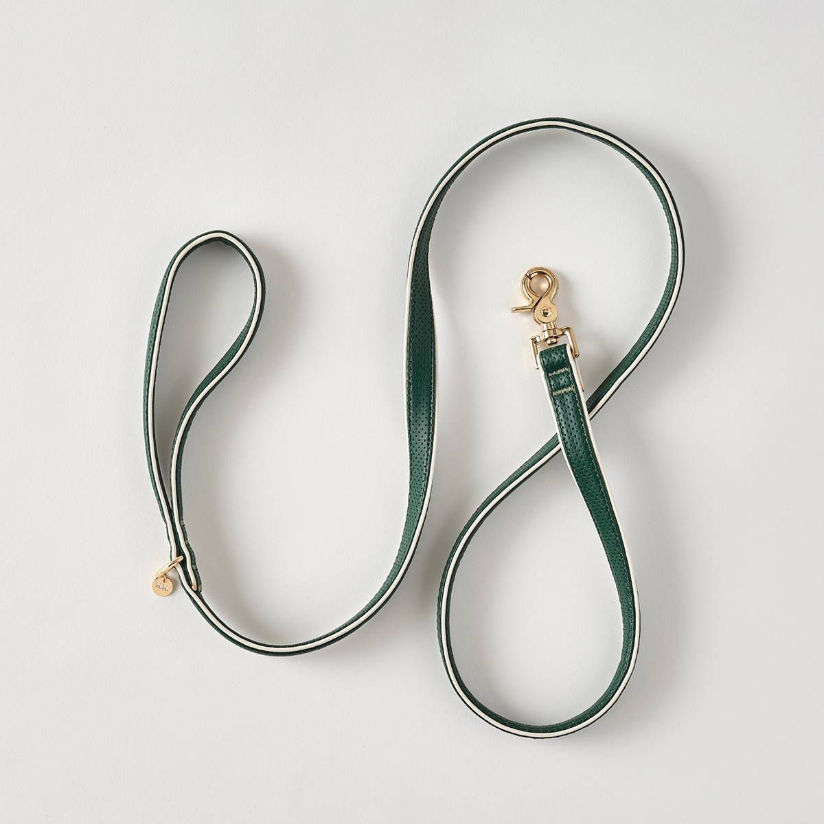 Hooray House Moto Vegan Leather Dog Leash - Green 5' | Target