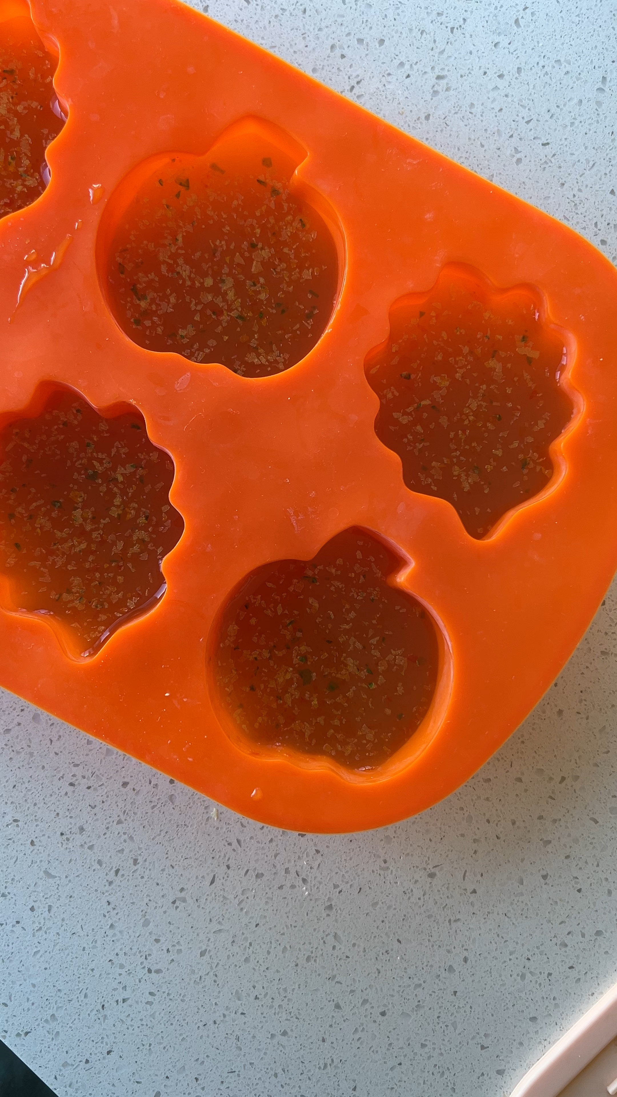 Leaf & pumpkin shaped ice molds! Comes in a pack of 2 and are medium sizes! Hosting an autumn brunch and will be making ice and apple cider models to put in drinks! Cuteeee

#LTKSeasonal #LTKHome #LTKHalloween