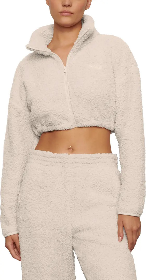 Teddy High Pile Fleece Crop Zip Jacket | Nordstrom