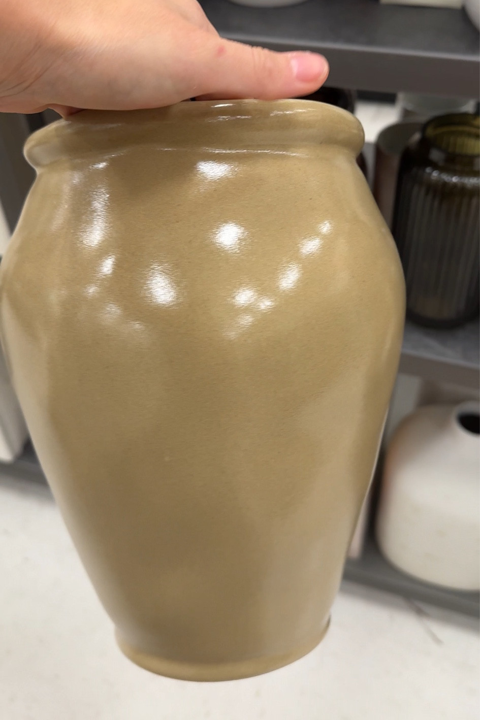 New target vase 

Organic modern fall decor 

#LTKSeasonal #LTKFindsUnder50 #LTKHome