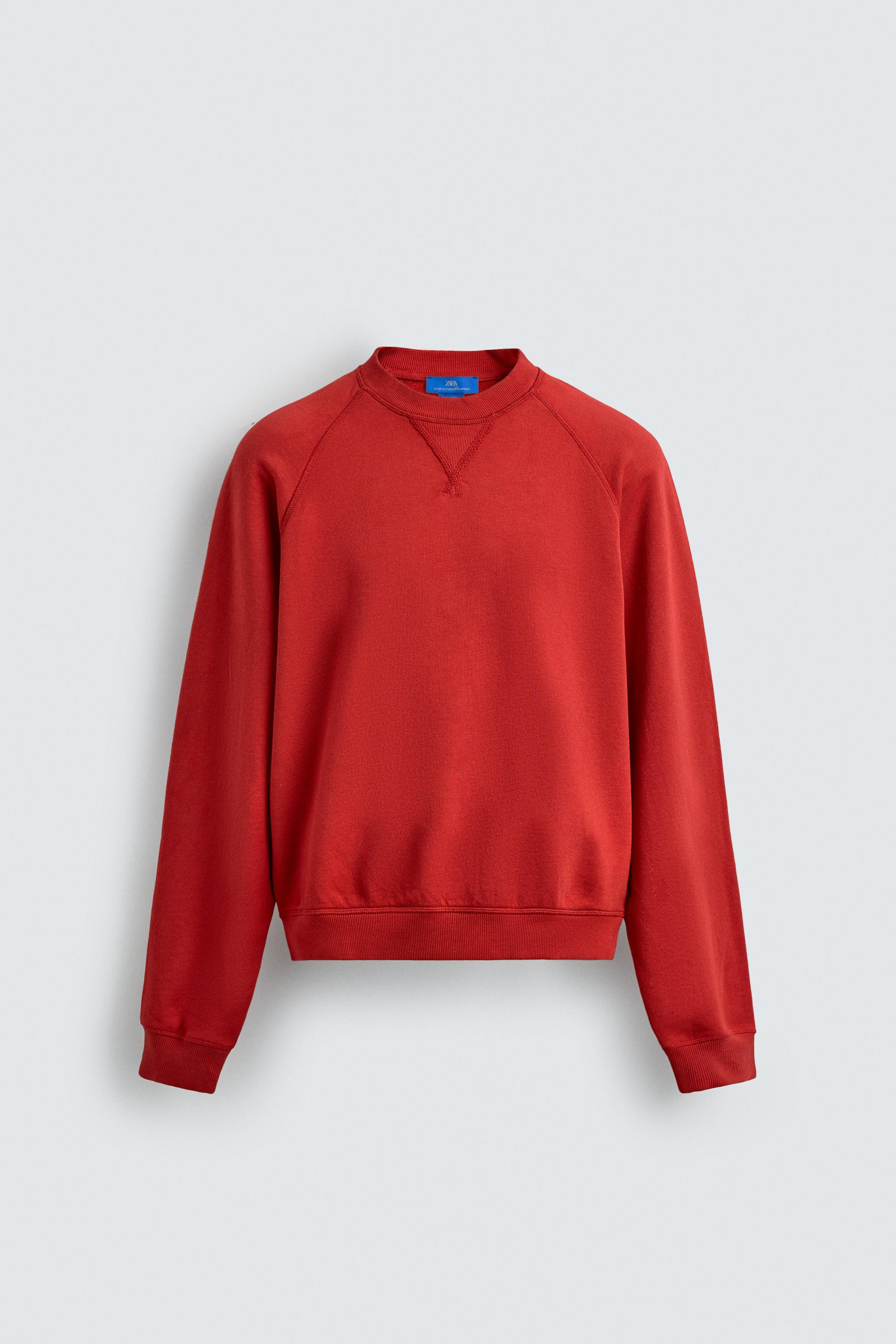 AARON LEVINE X ZARA WASHED CREW NECK SWEATSHIRT | Zara UK
