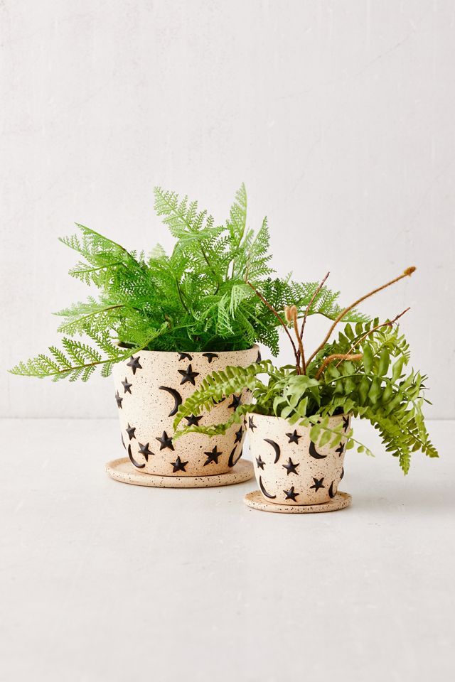 Estrella Planter And Tray | Urban Outfitters (US and RoW)