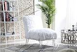Iconic Home Fabio Accent Side Chair Sleek Stylish Faux Fur Upholstered Armless Design Acrylic Legs M | Amazon (US)