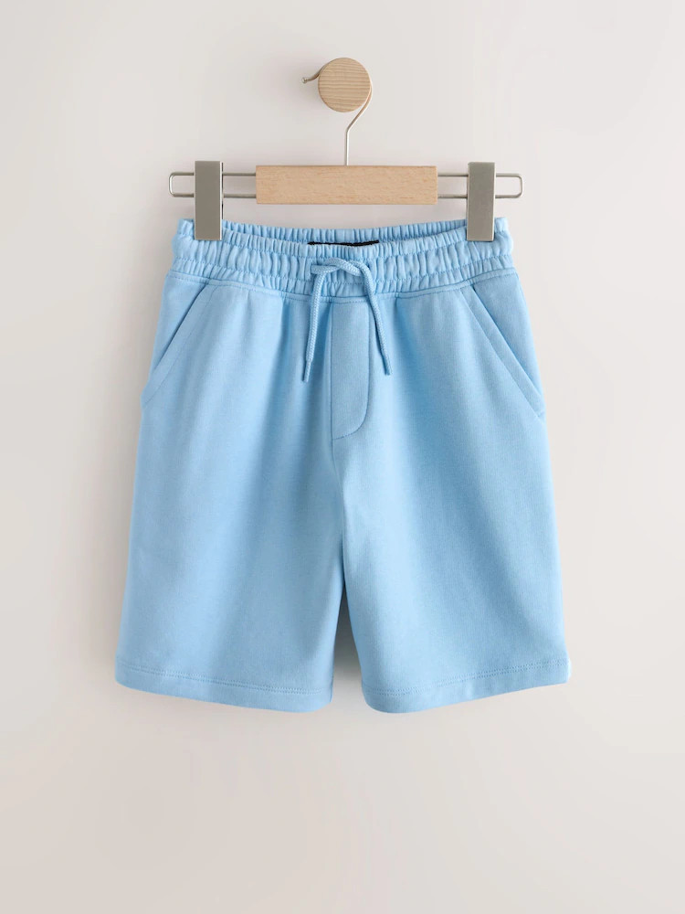 Light Blue Regular Fit Basic Shorts (3-16yrs) | Next US