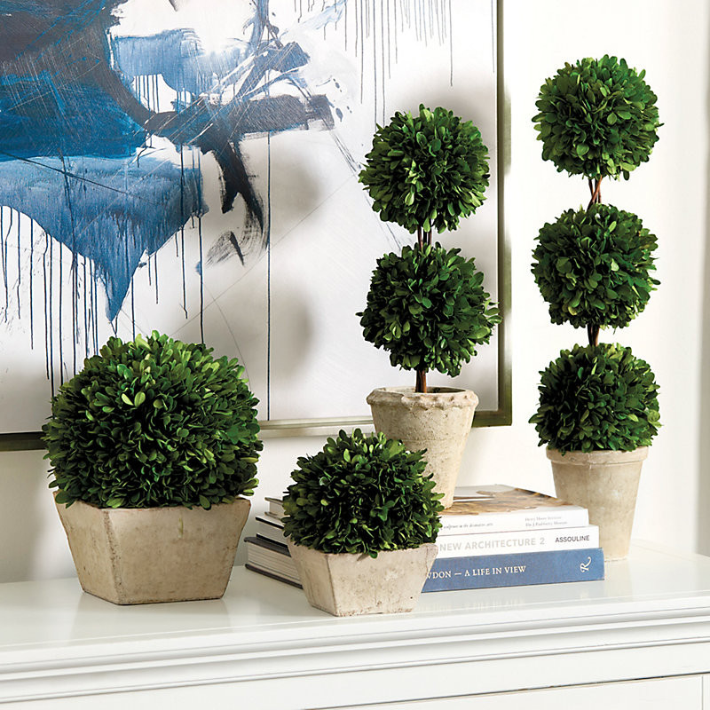 Preserved Boxwood Topiary - Double Ball - Ballard Designs | Ballard Designs, Inc.