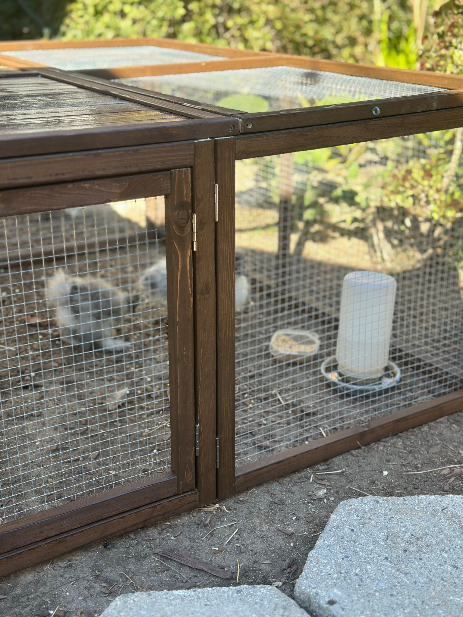 The perfect portable outdoor chicken run. It folds up for easy storage. 

#LTKHome