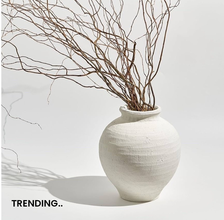 What a beautiful Terracotta vase. Hurry up to grab yours. #vase #sale #ltkootd #home #decorate #decor #shareyourdecorwithme #amazon

#LTKHome #LTKSaleAlert #LTKHoliday