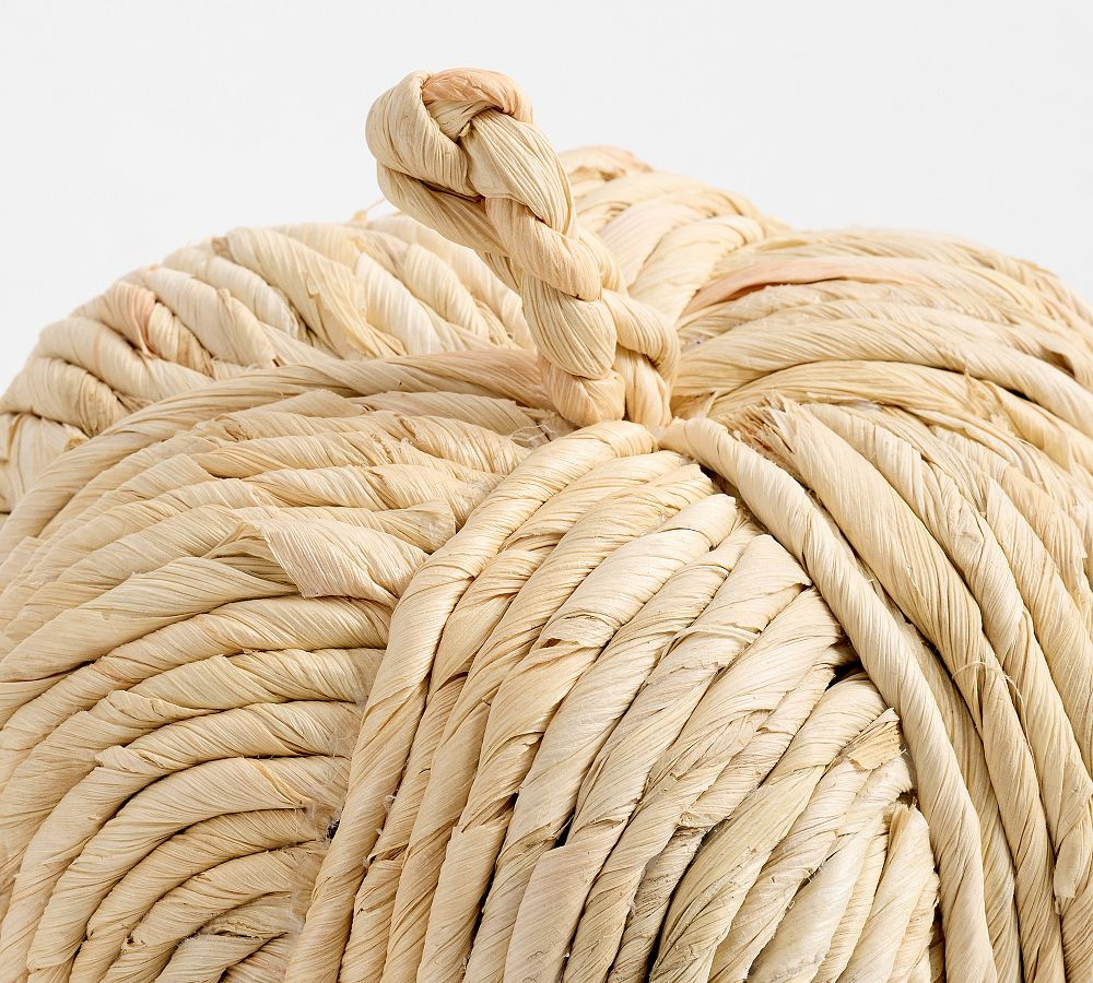 Eclectic Woven Pumpkin | Pottery Barn (US)