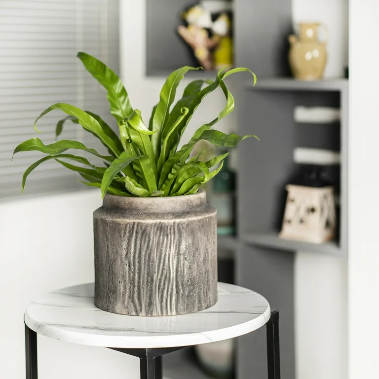 Better Homes & Gardens Pottery 8" Alexander Ceramic Planter, Brown | Walmart (US)