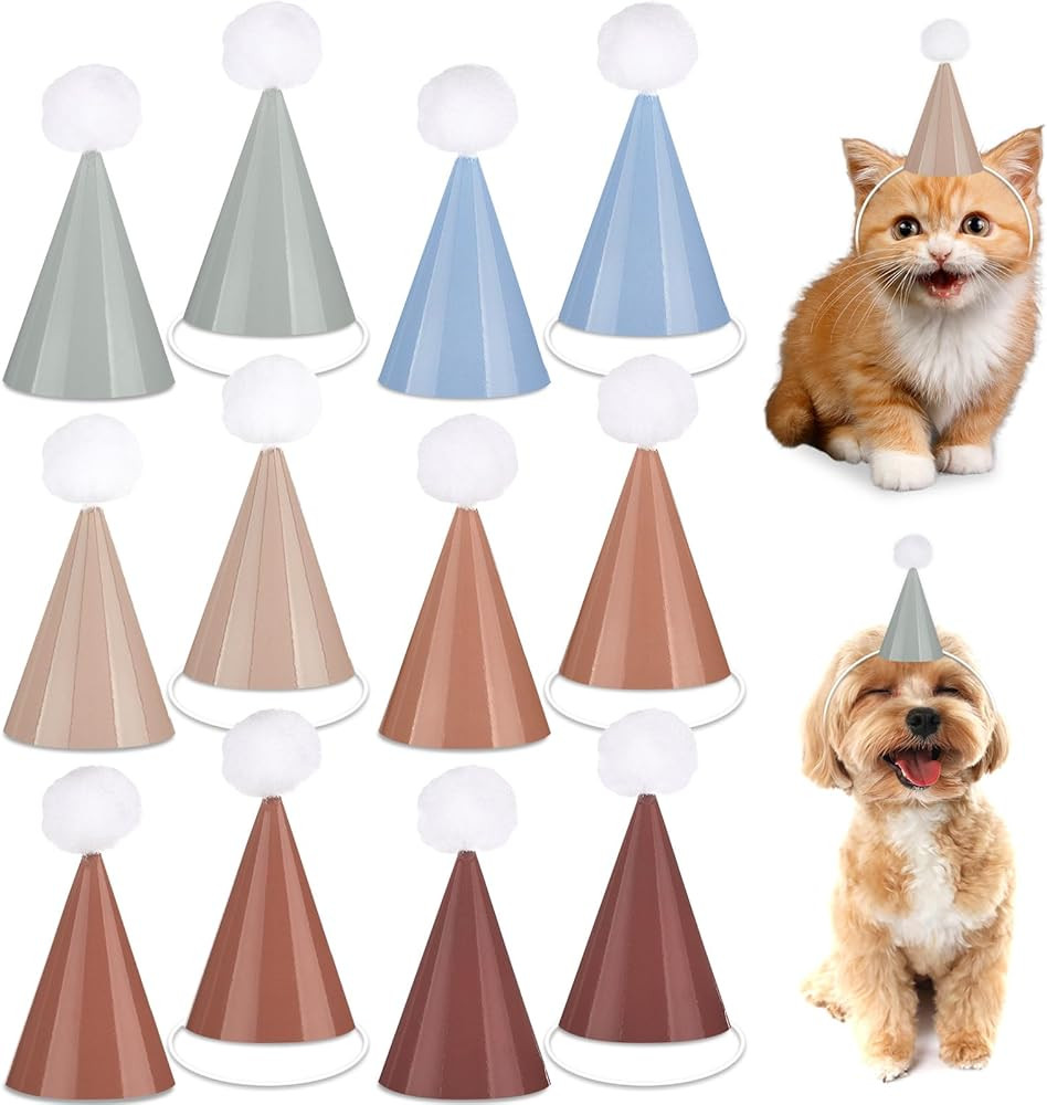 48Pcs Mini Boho Birthday Party Hats for Stuffed Animals 3Inch Adjustable Cone Caps with DIY Pom P... | Amazon (US)