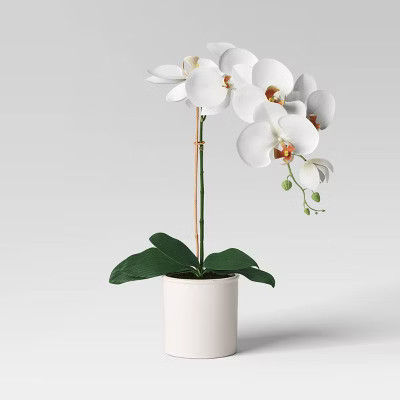 Orchid in White Pot - Threshold™ | Target