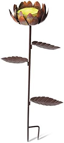 Dahlia Butterfly Feeder, with Metal Stake 36-1/2" H Bowl is 4-1/2" Diameter for Butterfly Nectar | Amazon (US)