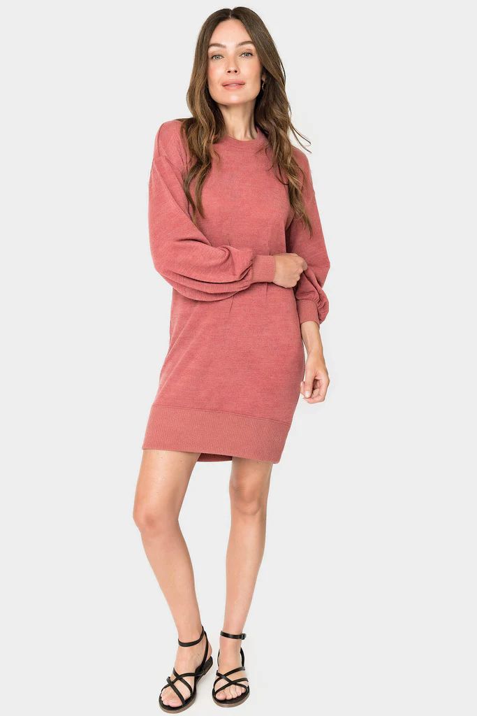 Long Sleeve Sweater Dress | Gibson