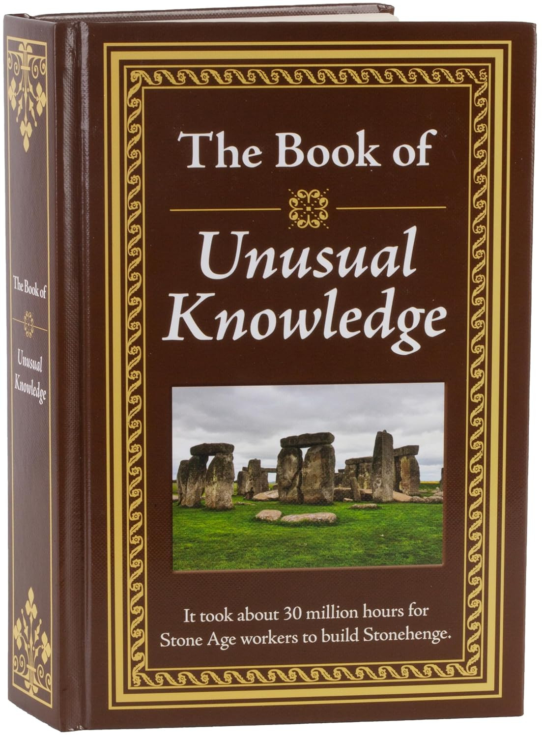 The Book of Unusual Knowledge: Big Book of Fascinating Facts & Information | Hardcover Gift for T... | Amazon (US)
