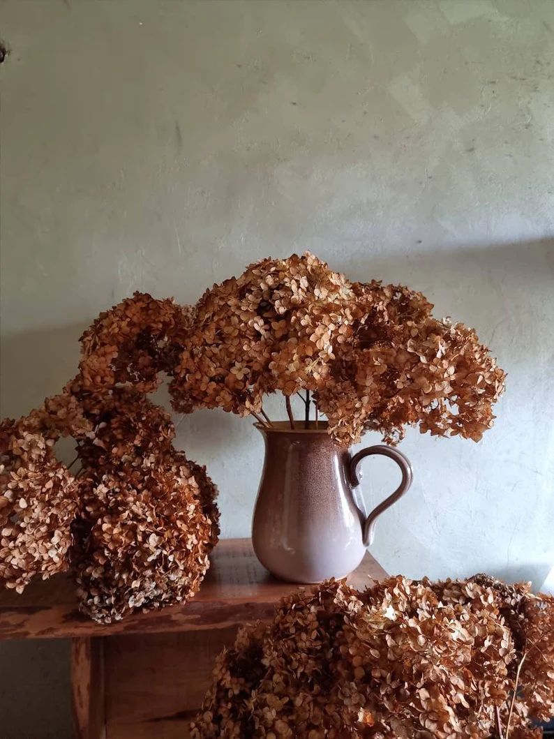 dried hydrangea flowers brown bouquet green brown hortensia florist supplies art craft vase fille... | Etsy (US)