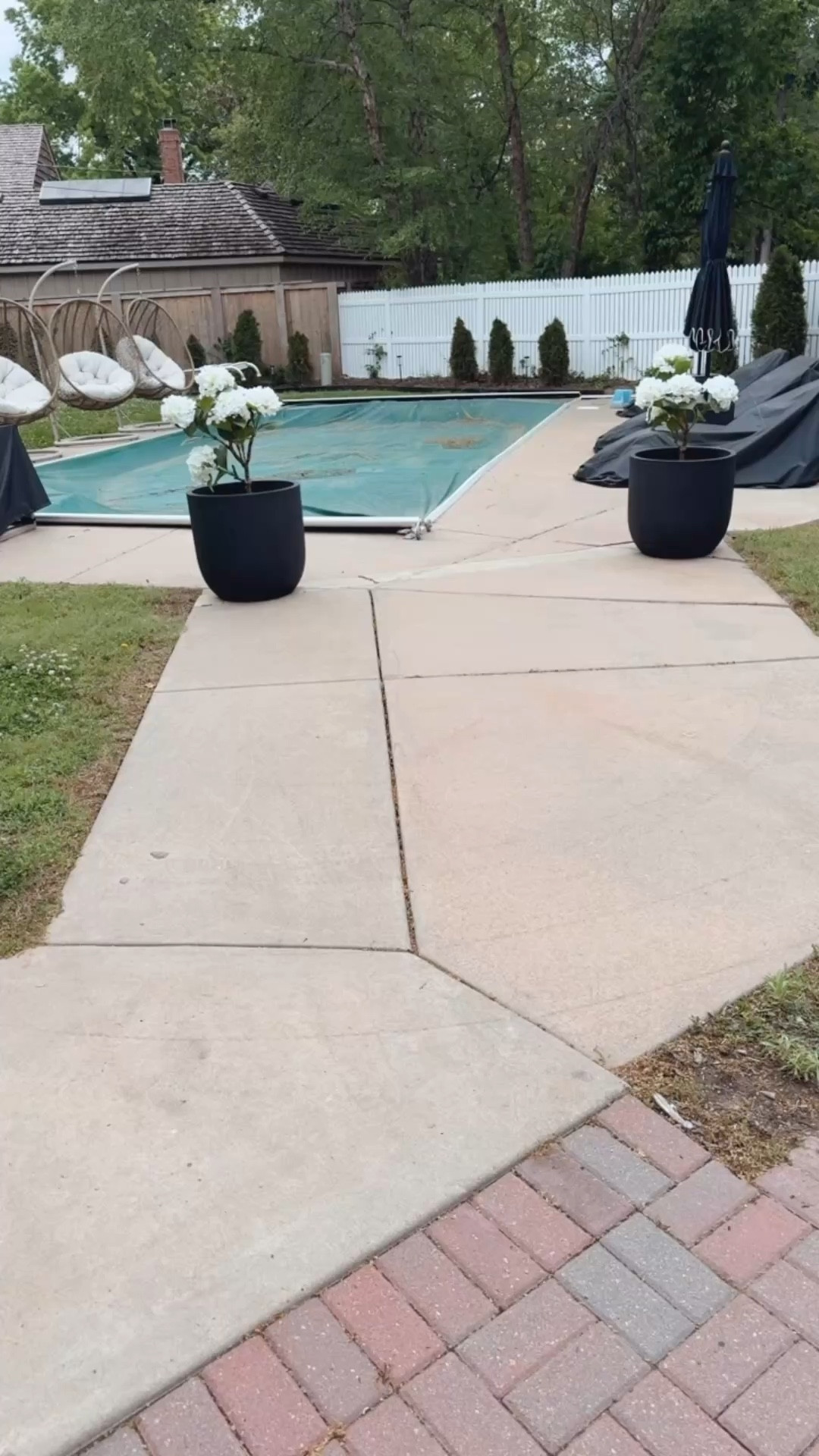 Faux hydrangeas 
Outdoor plants 

#LTKHome