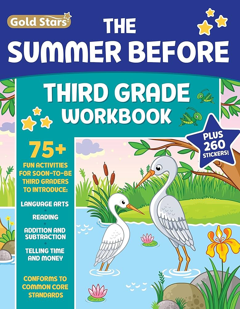 The Summer Before Third Grade Workbook School Bridging Second to Third Grade Ages 8 - 9: 75+ Acti... | Amazon (US)