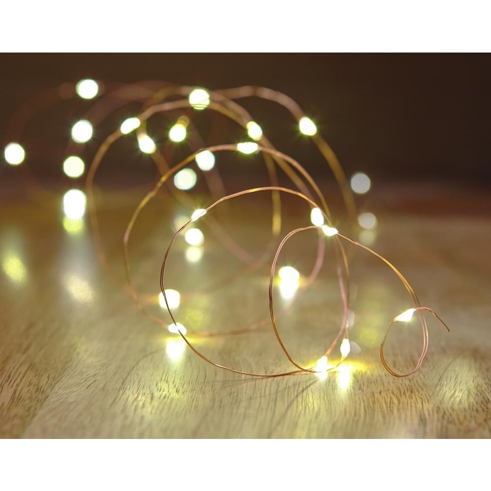 16 ft. Battery Powered 25 Bulb Copper Wire Indoor/Outdoor String Light | The Home Depot