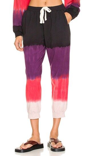 Abbot Kinney Sweatpant in Onyx, Port, & Cherry | Revolve Clothing (Global)