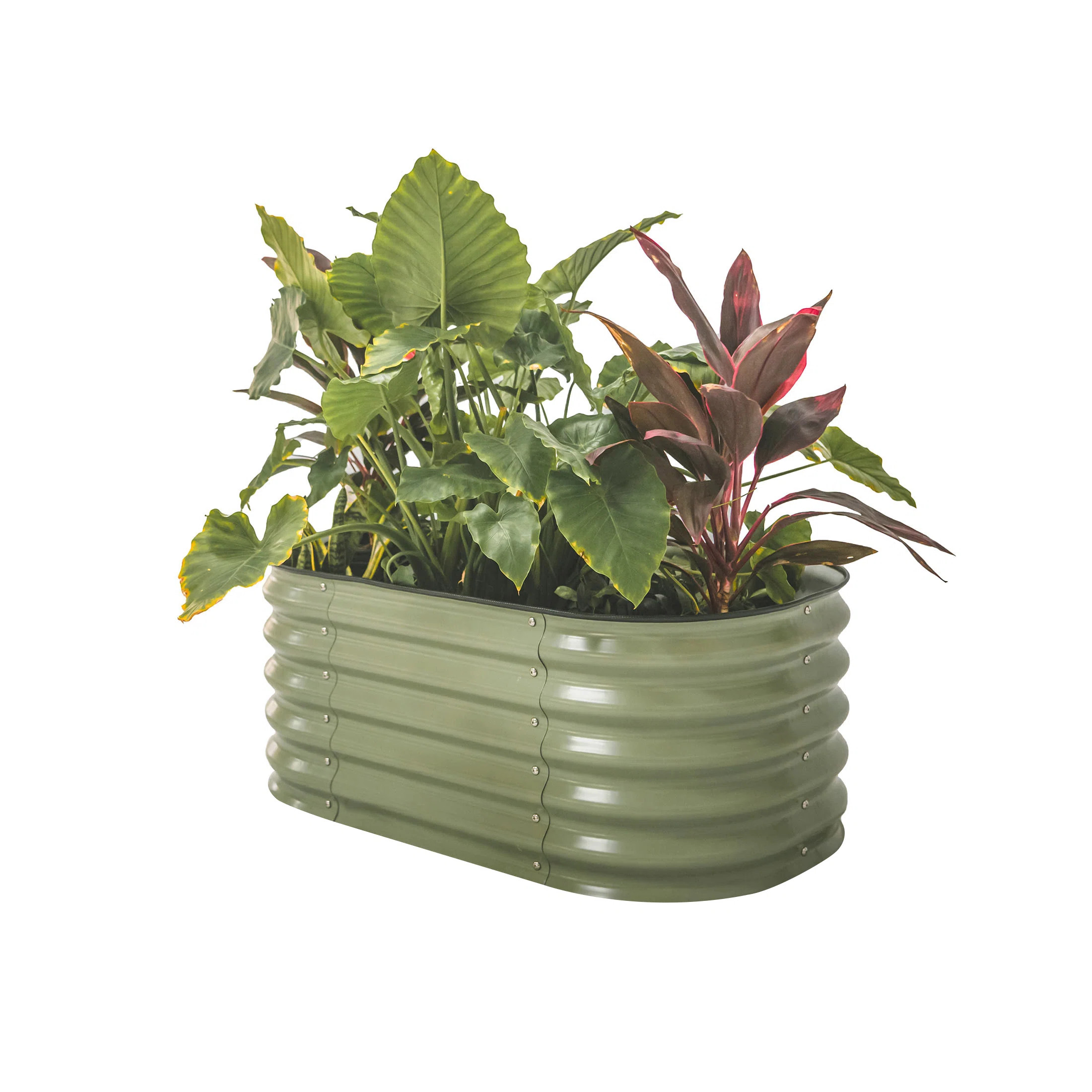 17" Tall 42" Wide Round Metal Outdoor Raised Garden Bed for Kids | Wayfair North America