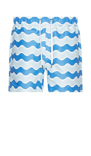 Charles 5" Shorts in Pool Blue Multi | Revolve Clothing (Global)