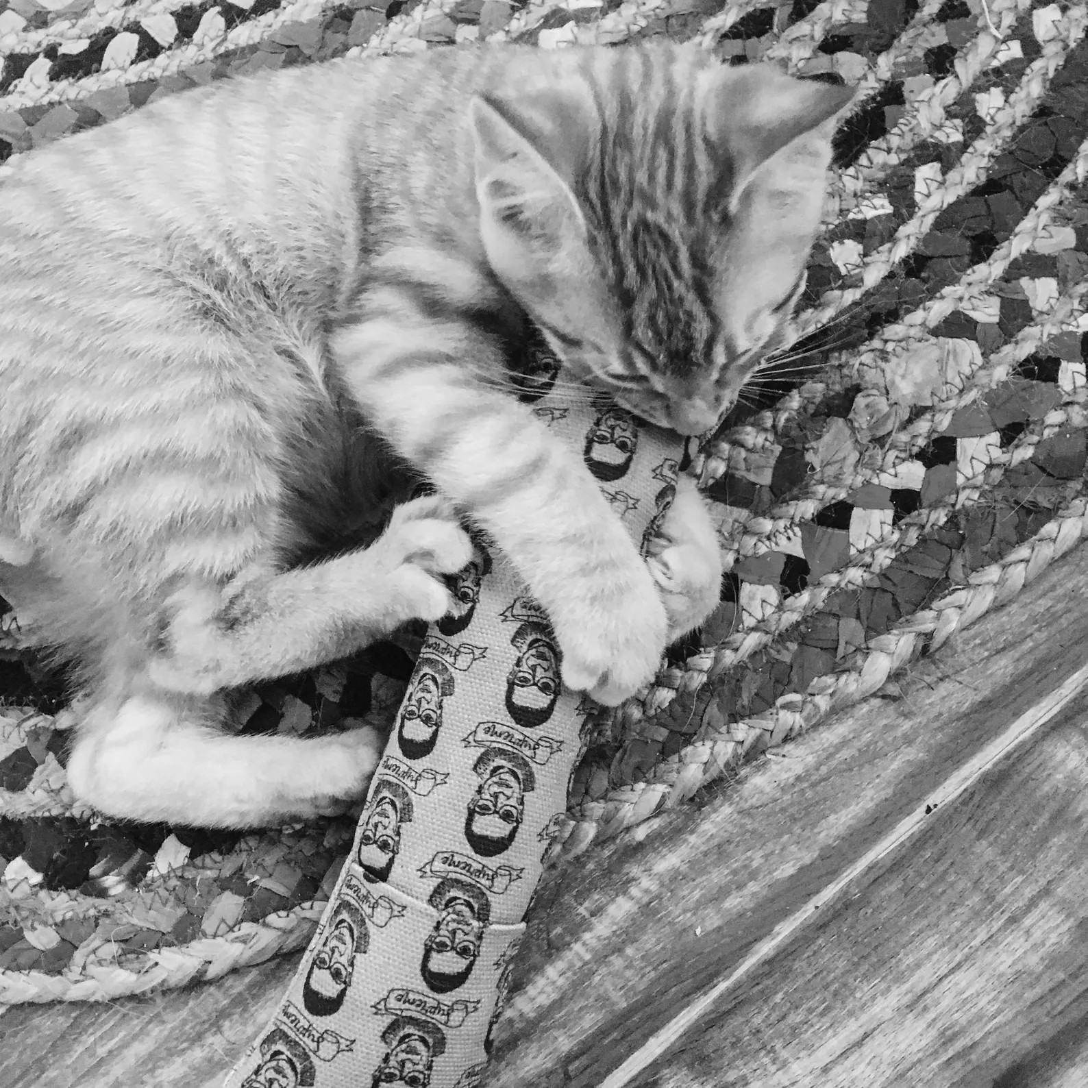 Cheshire and Alice Organic Catnip Cat Kicker | Kitty Kick Stick | Refillable Cat Kicker - Etsy | Etsy (US)