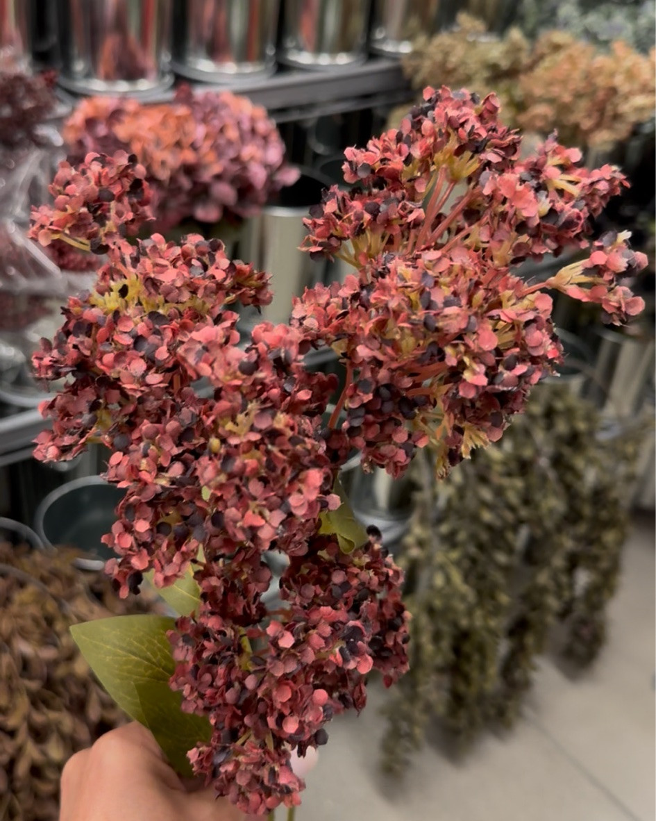 Fall stems at Michael’s!🍂
@Michaels #michaels #stems #fall

#LTKSeasonal #LTKHome #LTKActive