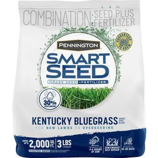 Smart Seed Kentucky Bluegrass 3 lb. 2,000 sq. ft. Grass Seed Blend | The Home Depot