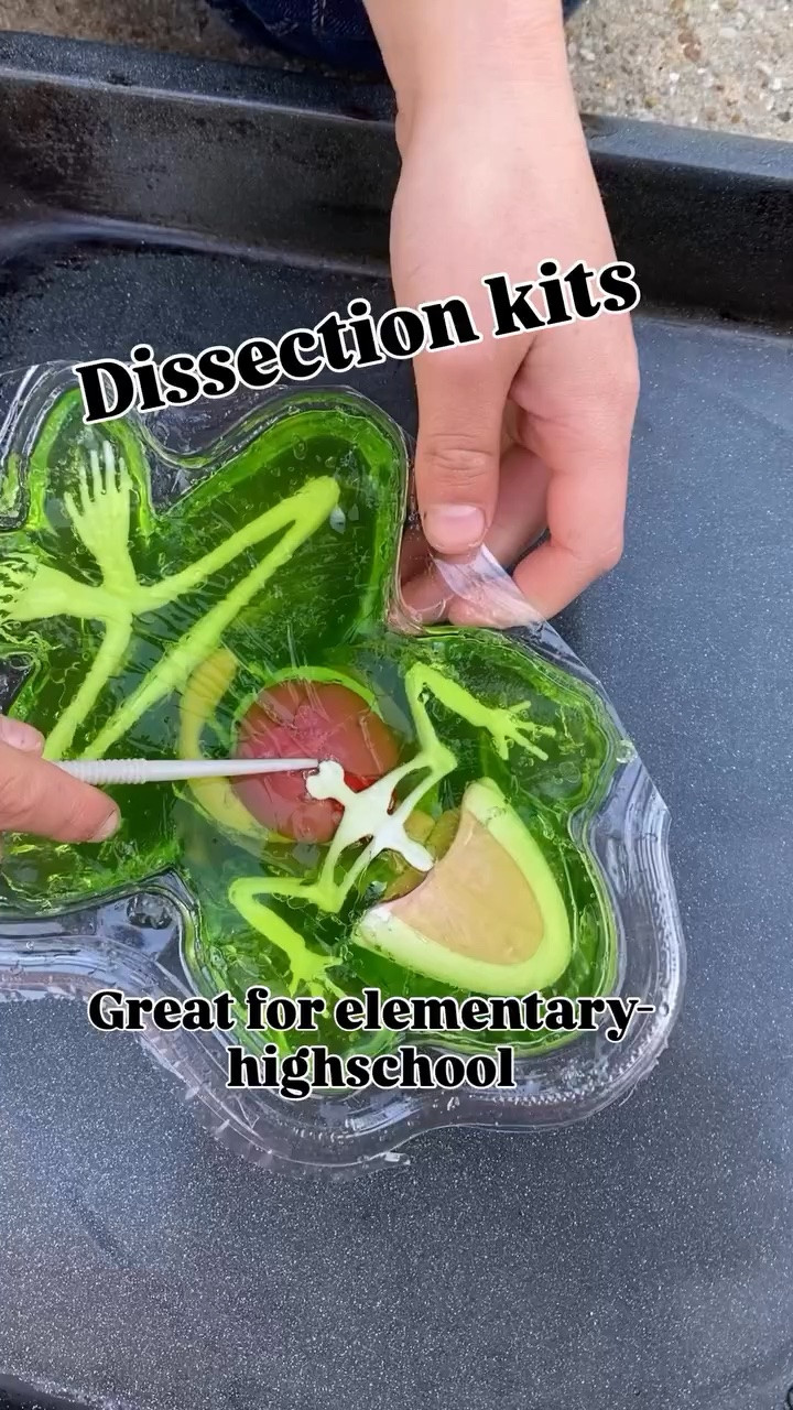 This is an awesome frog dissection kit for elementary through highschool! 

Comment SHOP below to receive a DM with the link to this post on my LTK ⬇ https://liketk.it/4i1tR

#dissection #scienceteacher #frogdissection #anatomy #anatomyandphysiology

#LTKKids #LTKmomlife #LTKdayinmylife