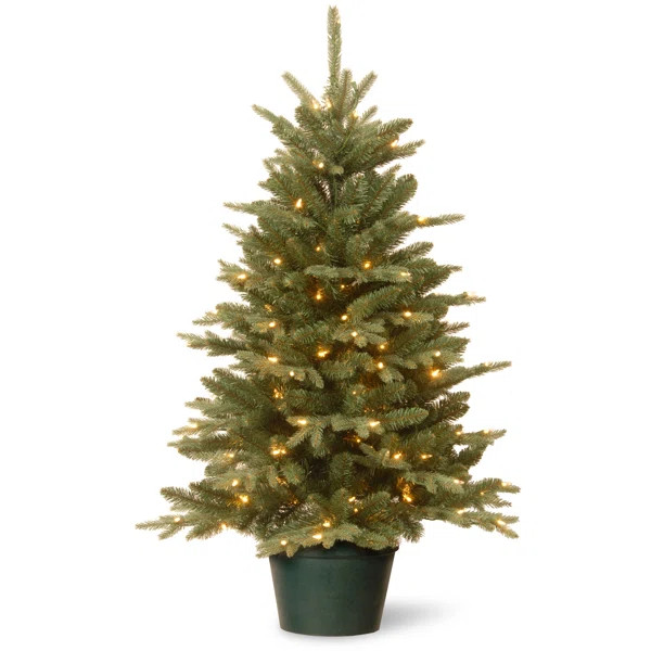 The Holiday Aisle® 3ft. Everyday Collection Potted Evergreen Tree with Clear Lights | Wayfair North America