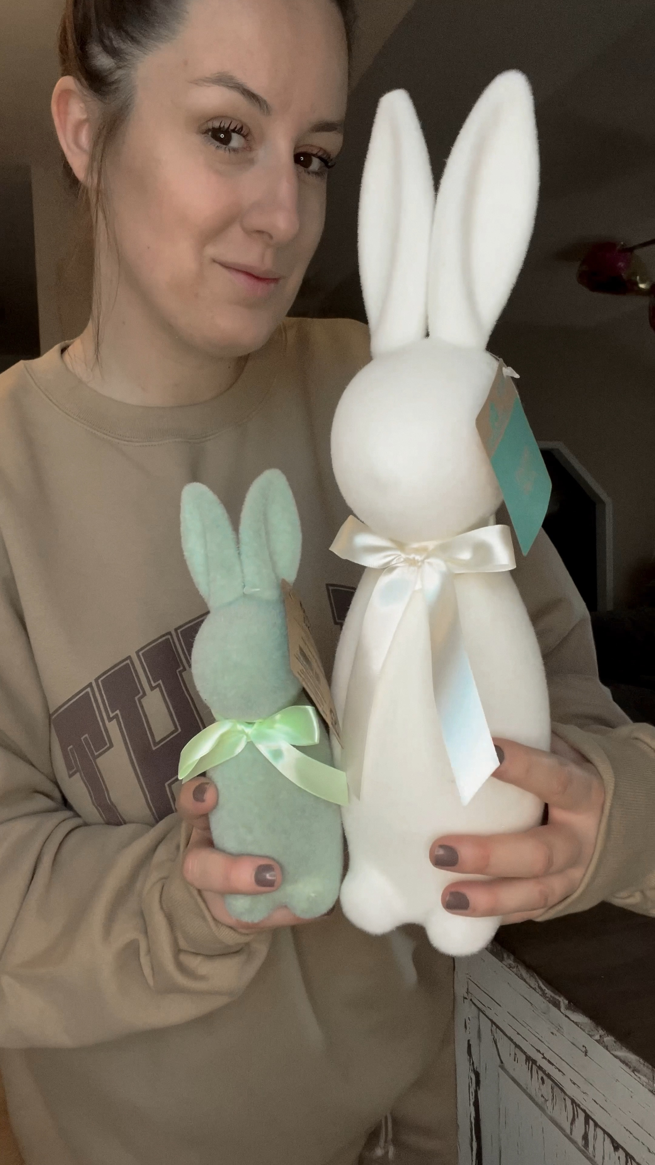 I just got my Walmart+ delivery and I couldn’t pass on the viral and very affordable Easter home decor! Viral Easter Flocked Bunny Decor, in Cream and Mint color. The smaller ones are  9 Inch and big ones are 16 Inch. And how cute is that sherpa mushroom? 

#thebar #walmart #easter #decor #homedecor #bunny #viral #spring #bridget #gabrielapolacek

#LTKstyletip #LTKSeasonal #LTKhome