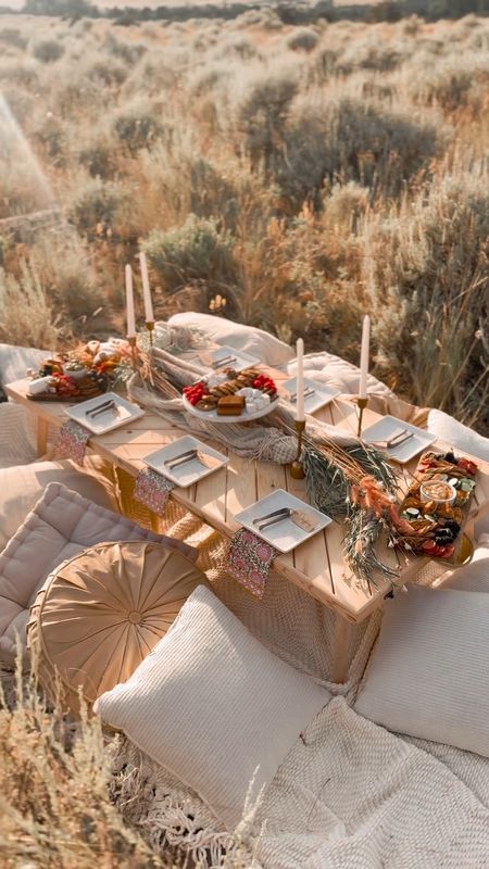 This mountain picnic only took about 30 minutes to set-up and the picnic lasted 8 hours. It’s safe to say that if the champagne lasted longer, the picnic would have to. 💗

#LTKparties #LTKwedding #LTKhome