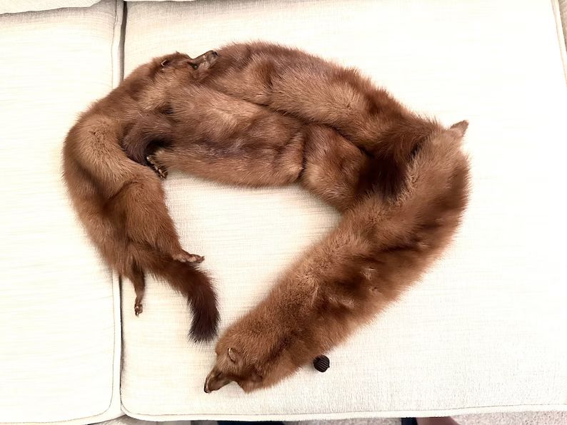 Vintage Fur Pelt Mink Stole 4 15 Inch Pelts Scarf - Etsy | Etsy (US)