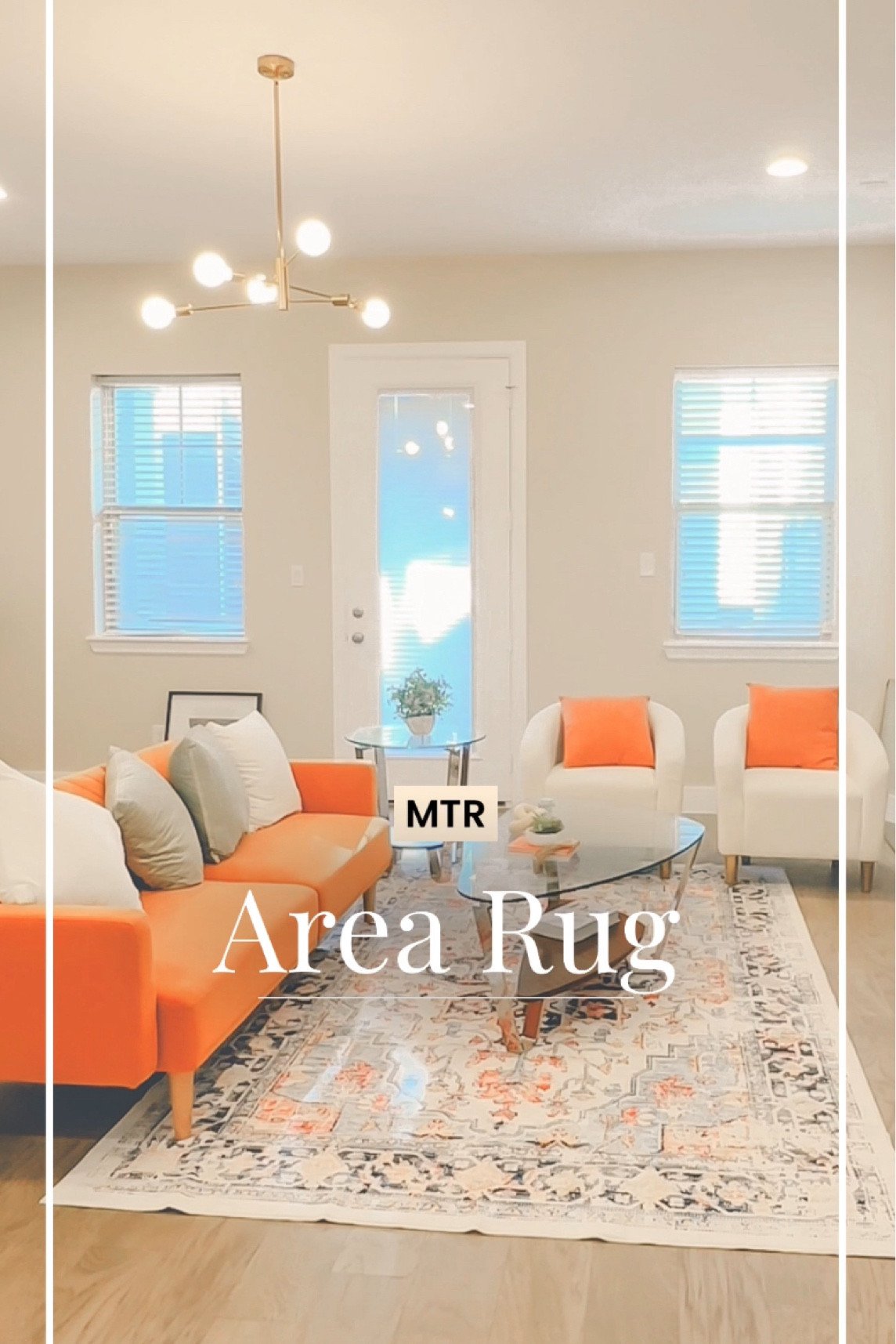 New area rug for MTR 

#LTKHome