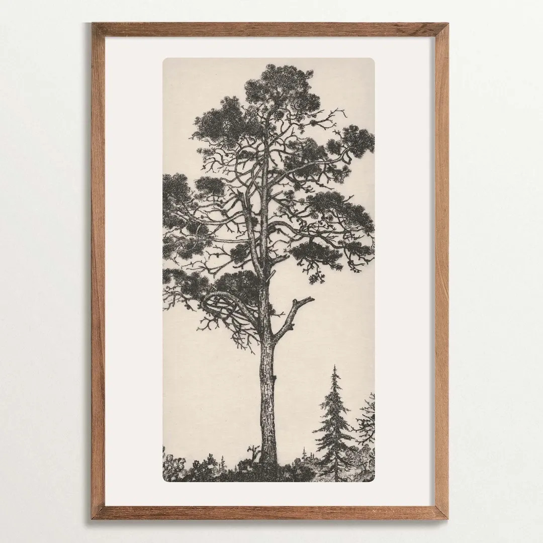 Pine Tree Etching Print, Vintage Cottagecore Decor, Tree Sketch Art | Etsy (US)
