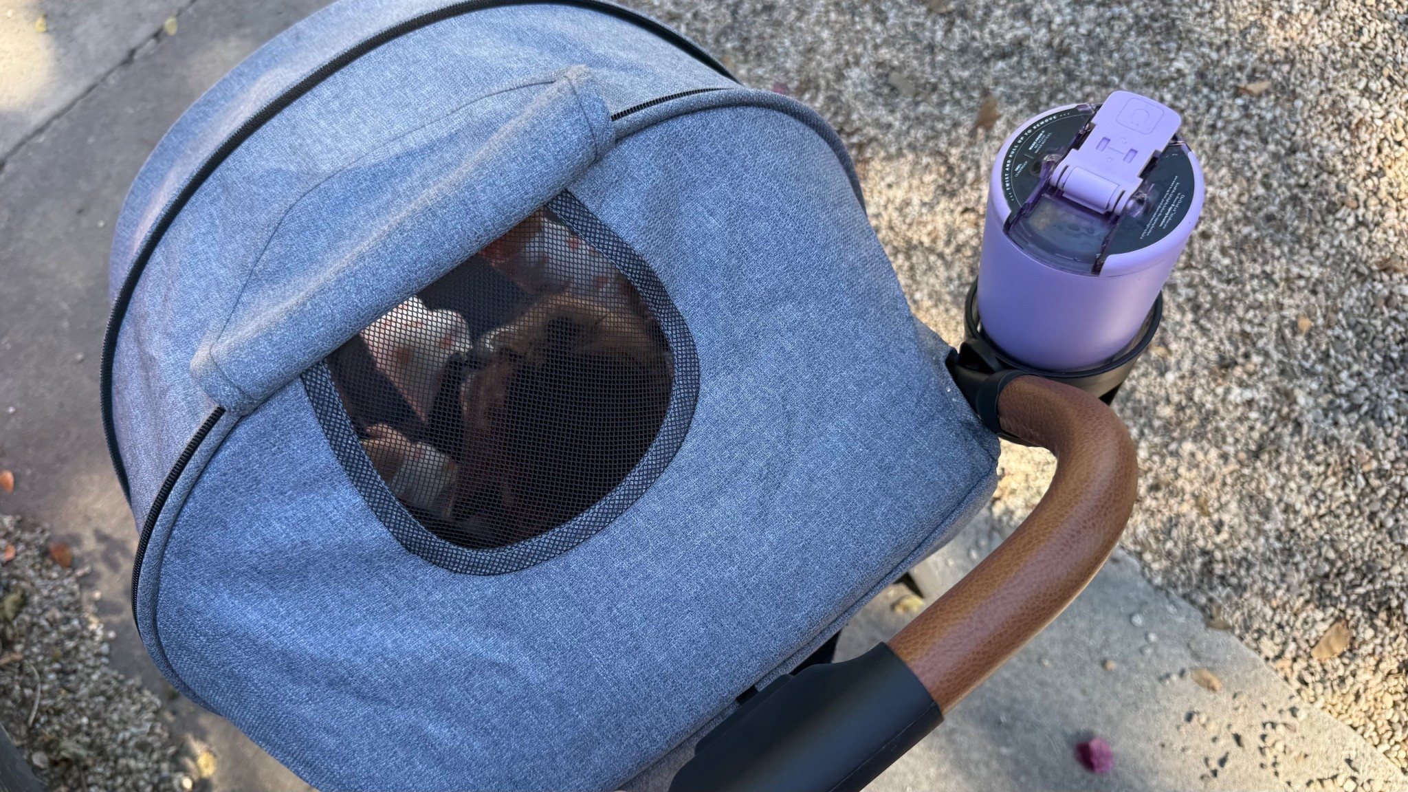 Travel stroller mug electrolytes and ceratine 
