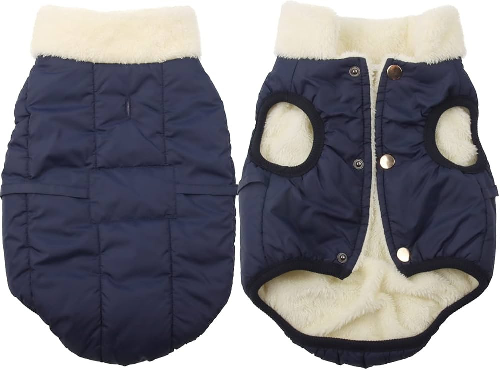 JoyDaog Fleece Lined Warm Dog Jacket for Puppy Winter Cold Weather,Soft Windproof Small Dog Coat,... | Amazon (US)