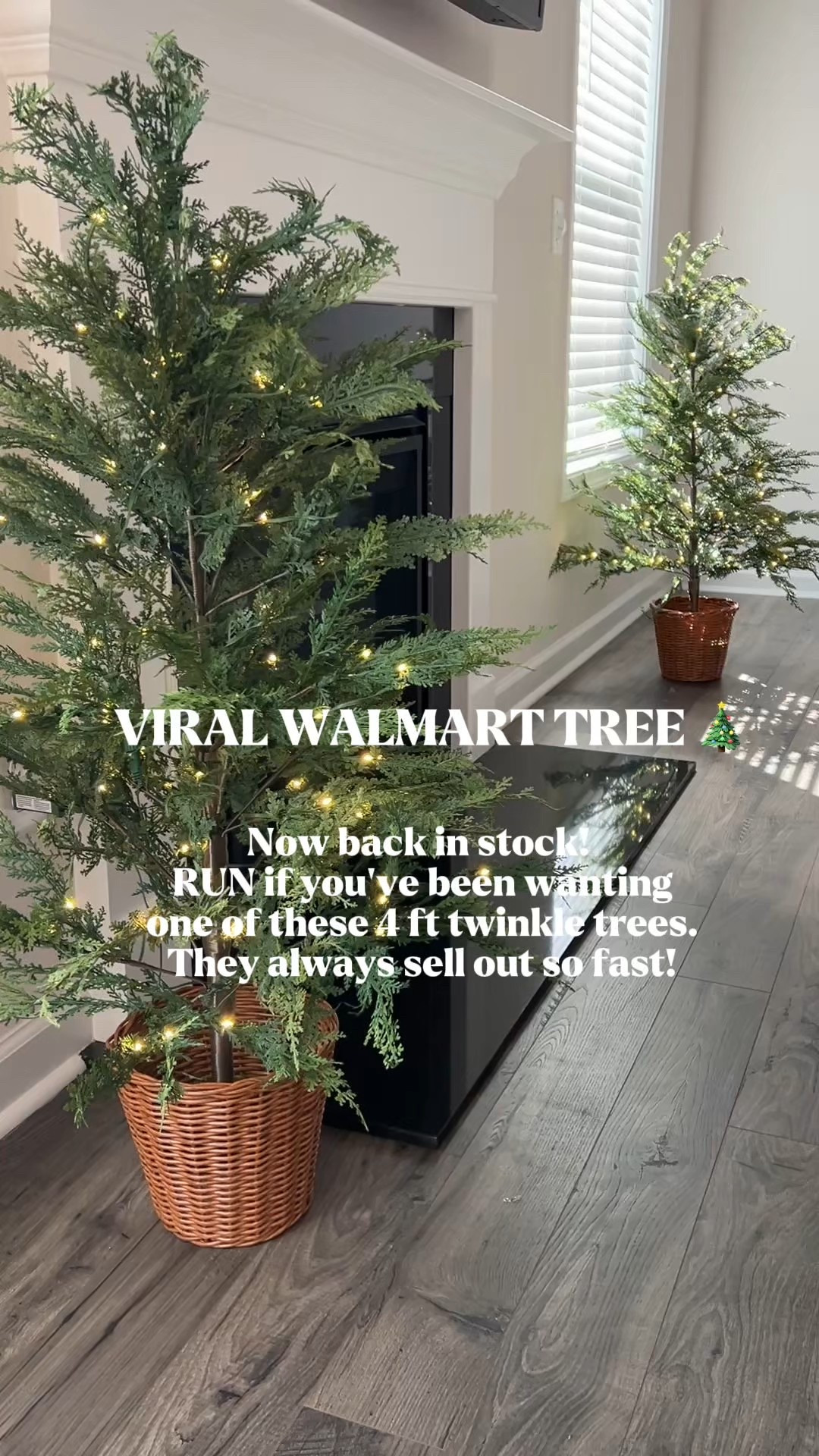 🎄BACK IN STOCK!! But not for long. The viral 4' twinkle tree from Walmart just came back in stock! RUN if you've been wanting one they always sell out so fast! 

It comes with 100 twinkle lights and a woven basket base. Looks so high-end for the price. Had to snag two! Back in stock now but it won’t last long! And are perfect for holiday decorating! #walmartfinds #mytexashouse

#LTKHome #LTKSeasonal #LTKHoliday