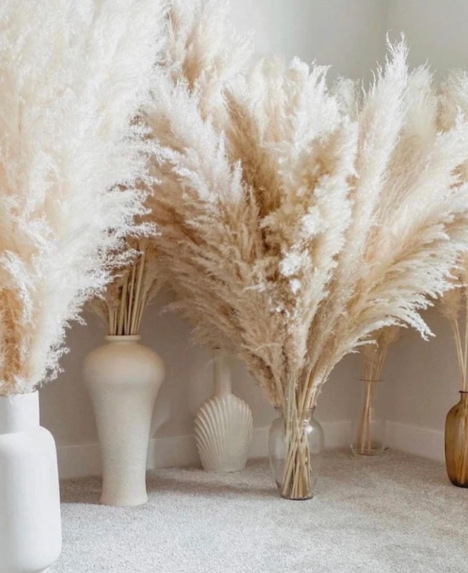 Pompadour grass by the BohoGoods

Wedding | Wedding Decor | Wedding Planning | Wedding Gift | pompas | Mrs. | Fiancé | Bride to be 

#LTKhome #LTKwedding #LTKunder50
