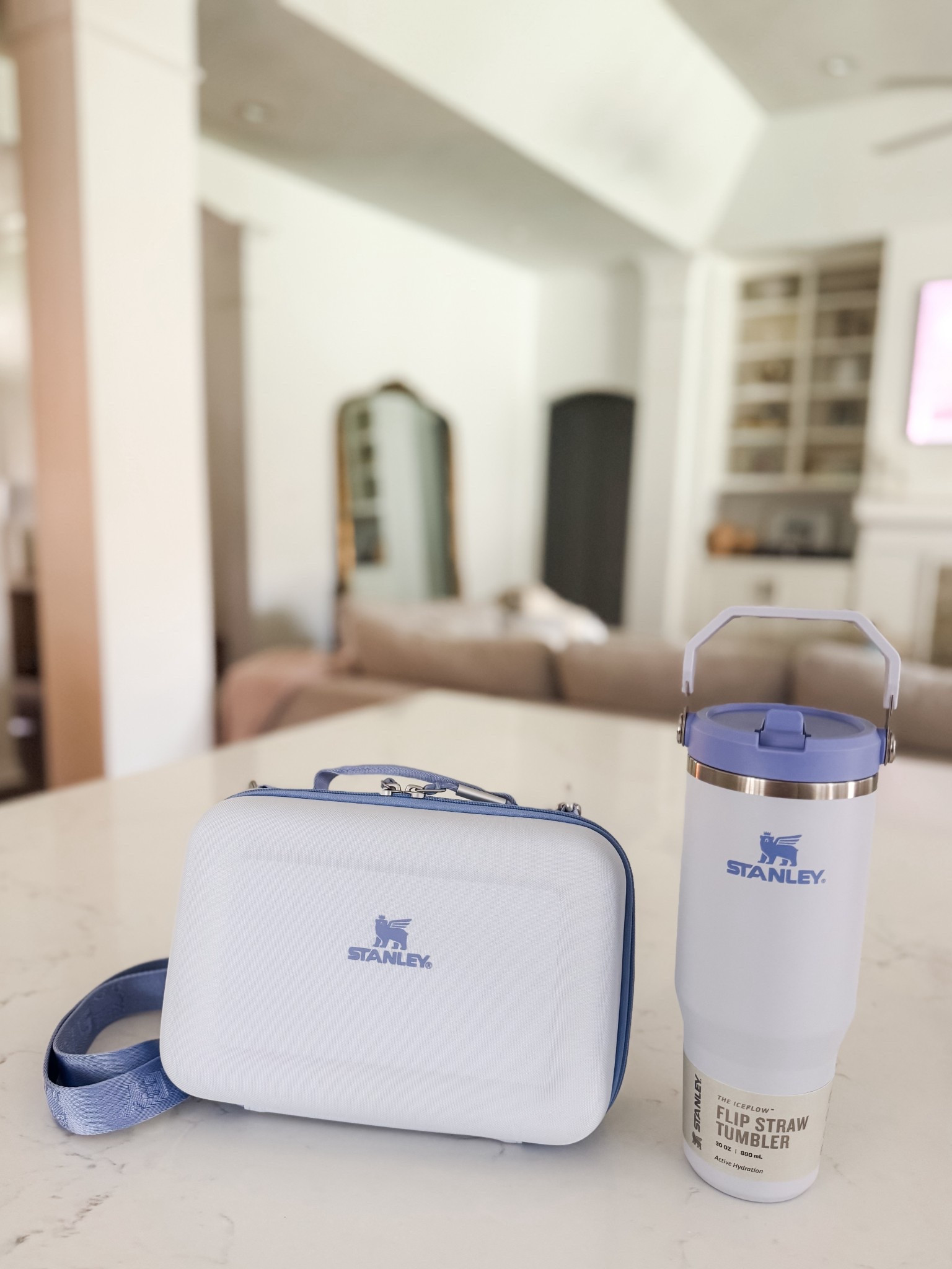 It’s back to school shopping time!!  New Stanley insulated lunch box and matching Flip Straw Tumbler!  

#LTKSeasonal #LTKKids #LTKU