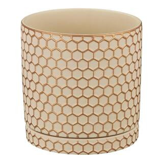Cohen Small Beige and Gold Indoor Ceramic Round Planter with Attached Saucer (5.98 in. L x 5.98 i... | The Home Depot