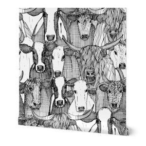 just cattle black white large Wallpaper byscrummy | Spoonflower