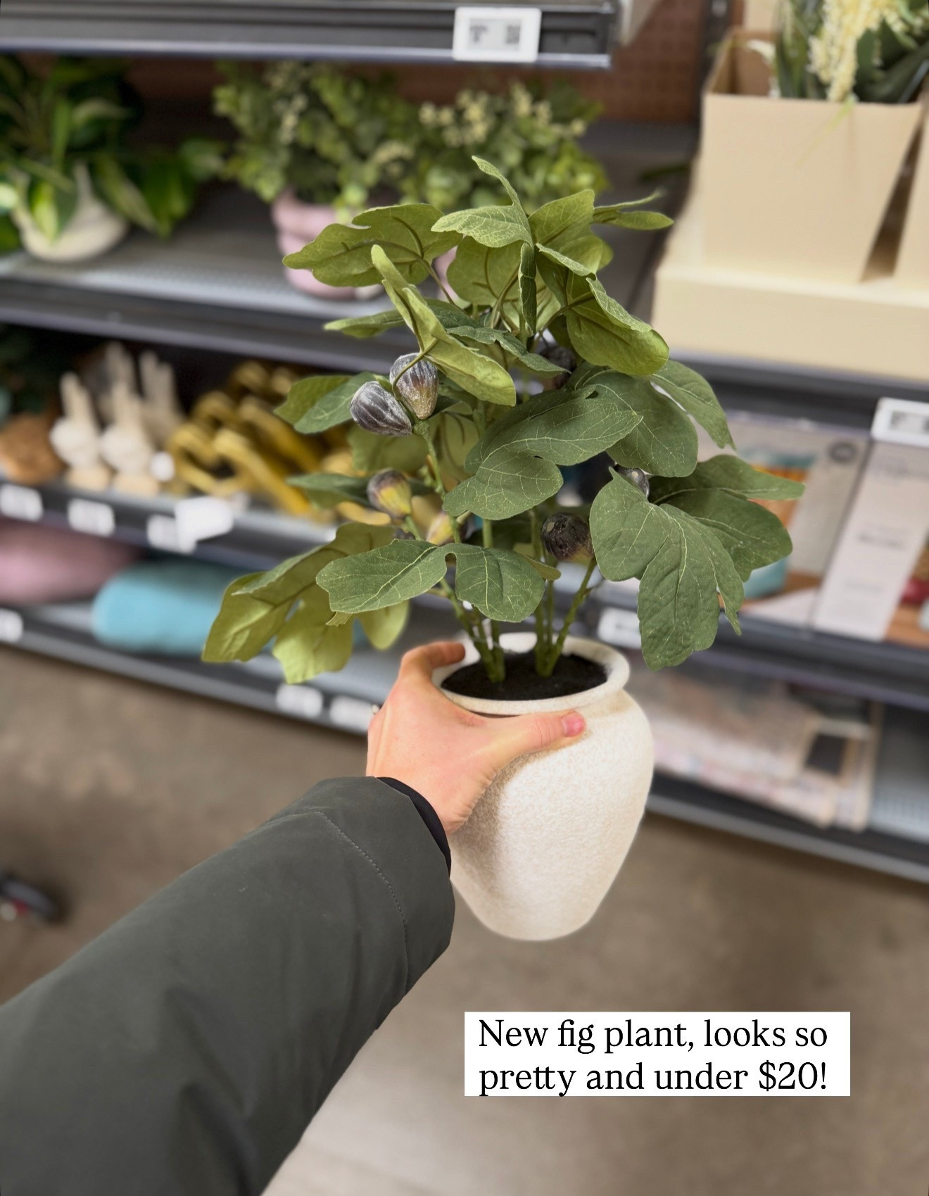 This new fig plant from Walmart is too cute looks realistic and love the planter it comes in.  

#LTKHome
