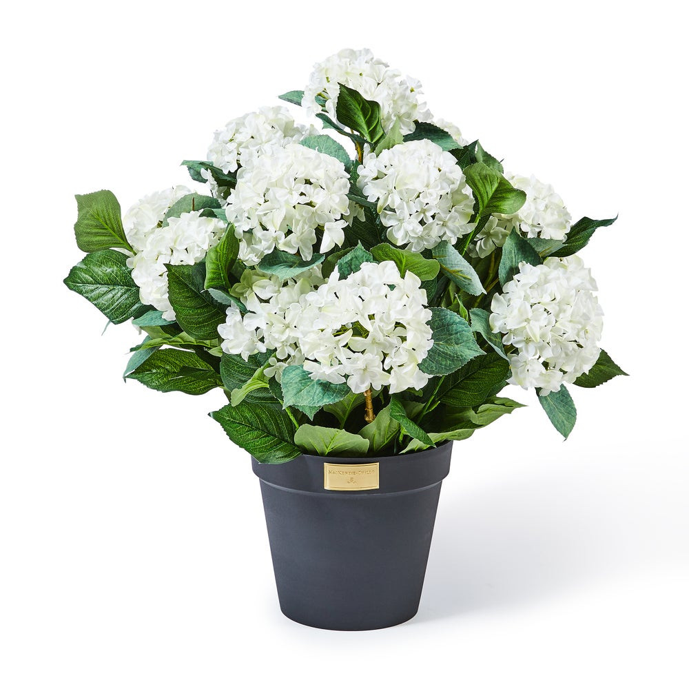 White Hydrangea Urn Filler | MacKenzie-Childs
