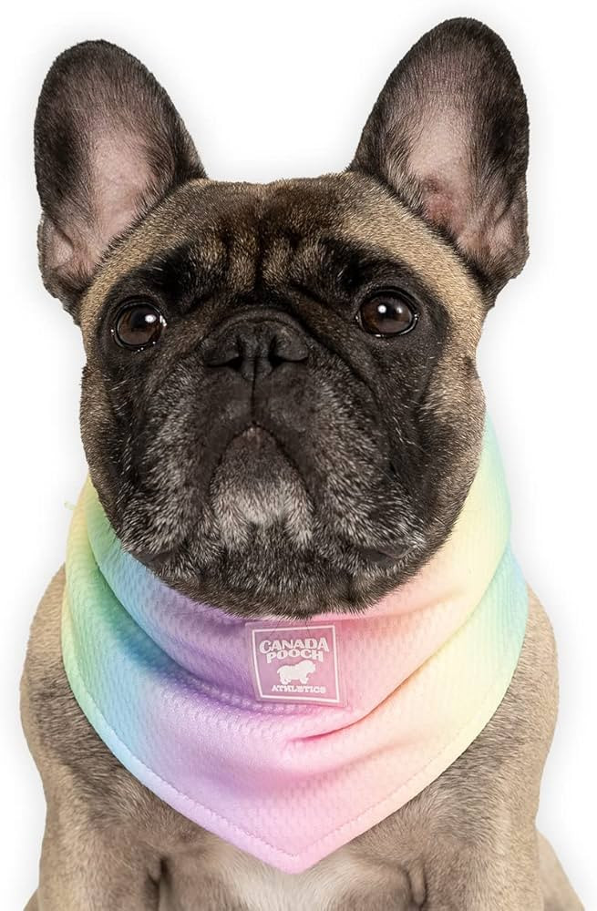 Canada Pooch Cooling Bandana for Dogs - Evaporative Cooling Dog Bandana with Breathable Mesh Mate... | Amazon (US)