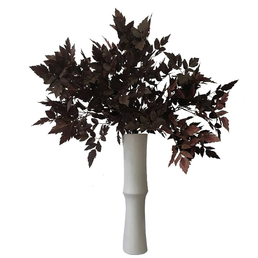 Deep Purplered | Amazon (US)